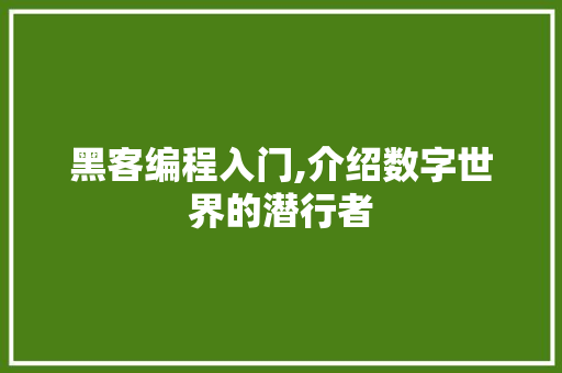 黑客编程入门,介绍数字世界的潜行者