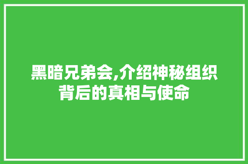 黑暗兄弟会,介绍神秘组织背后的真相与使命