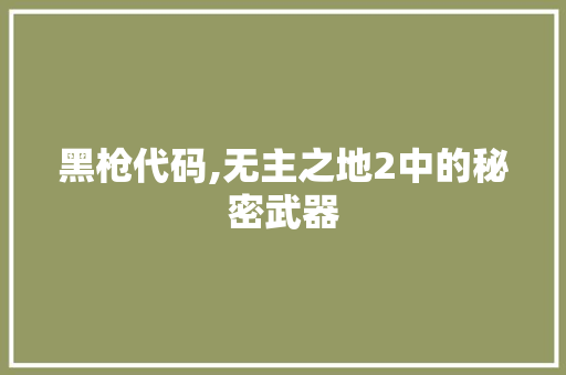 黑枪代码,无主之地2中的秘密武器