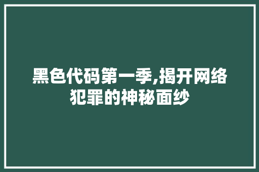 黑色代码第一季,揭开网络犯罪的神秘面纱