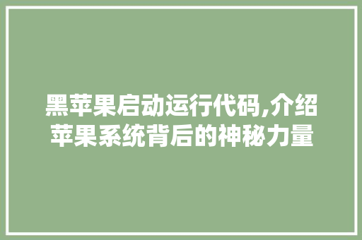 黑苹果启动运行代码,介绍苹果系统背后的神秘力量