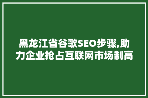 黑龙江省谷歌SEO步骤,助力企业抢占互联网市场制高点