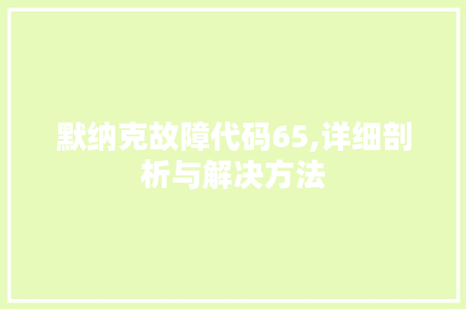 默纳克故障代码65,详细剖析与解决方法