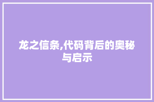 龙之信条,代码背后的奥秘与启示