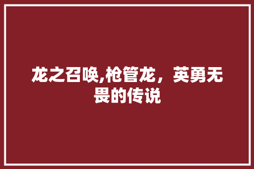 龙之召唤,枪管龙，英勇无畏的传说