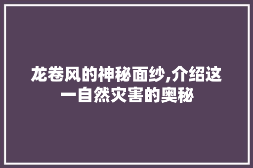 龙卷风的神秘面纱,介绍这一自然灾害的奥秘