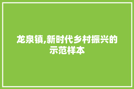 龙泉镇,新时代乡村振兴的示范样本