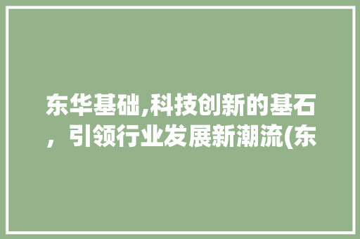 东华基础,科技创新的基石，引领行业发展新潮流(东华基础设计)