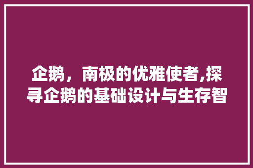 企鹅，南极的优雅使者,探寻企鹅的基础设计与生存智慧(企鹅基础设计)