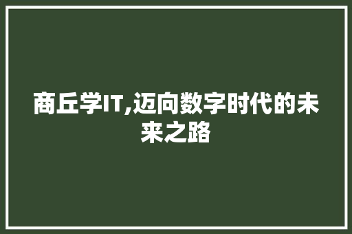 商丘学IT,迈向数字时代的未来之路