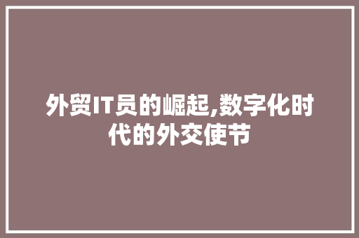 外贸IT员的崛起,数字化时代的外交使节