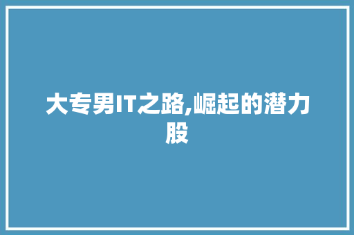 大专男IT之路,崛起的潜力股