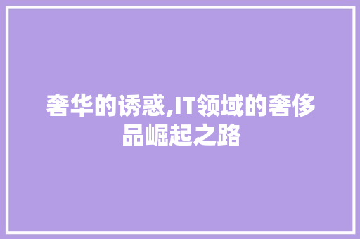 奢华的诱惑,IT领域的奢侈品崛起之路