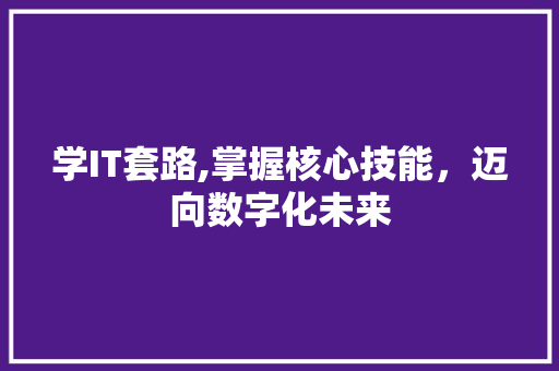 学IT套路,掌握核心技能，迈向数字化未来