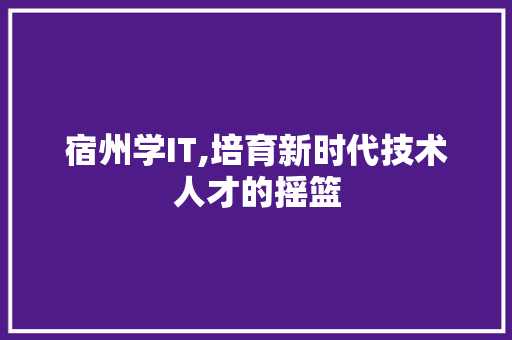 宿州学IT,培育新时代技术人才的摇篮