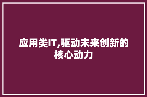 应用类IT,驱动未来创新的核心动力