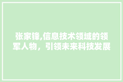 张家锋,信息技术领域的领军人物，引领未来科技发展