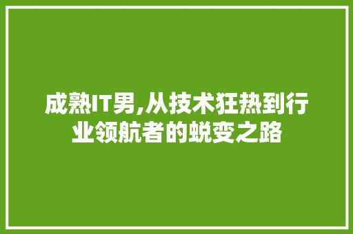 成熟IT男,从技术狂热到行业领航者的蜕变之路