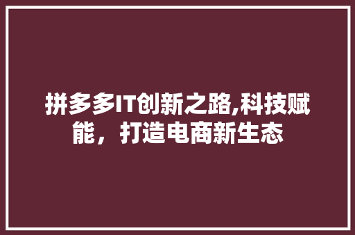 拼多多IT创新之路,科技赋能，打造电商新生态