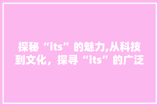 探秘“its”的魅力,从科技到文化，探寻“its”的广泛应用