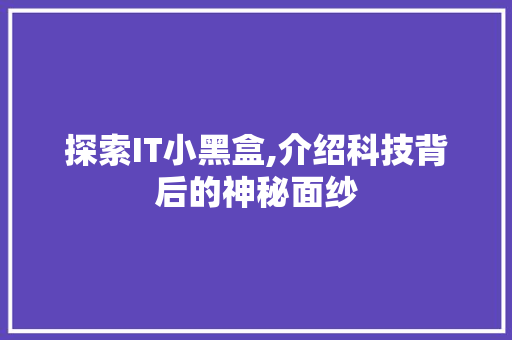 探索IT小黑盒,介绍科技背后的神秘面纱