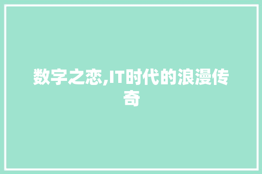 数字之恋,IT时代的浪漫传奇