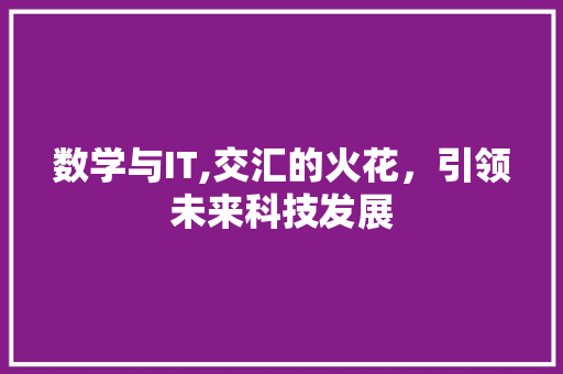 数学与IT,交汇的火花，引领未来科技发展