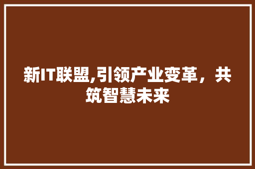 新IT联盟,引领产业变革，共筑智慧未来