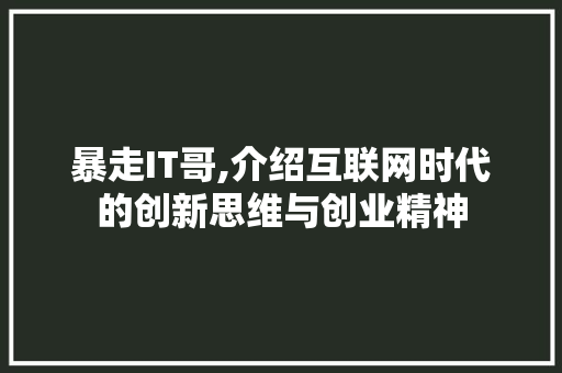 暴走IT哥,介绍互联网时代的创新思维与创业精神