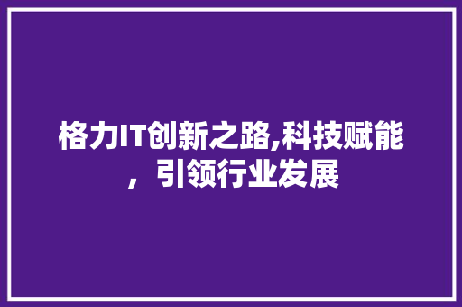 格力IT创新之路,科技赋能，引领行业发展