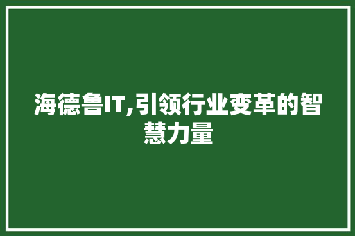 海德鲁IT,引领行业变革的智慧力量