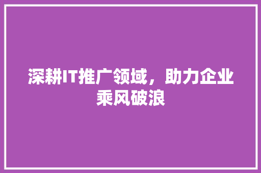 深耕IT推广领域，助力企业乘风破浪