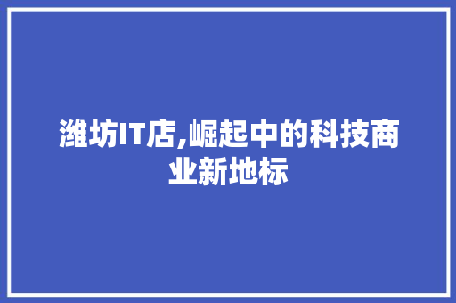 潍坊IT店,崛起中的科技商业新地标