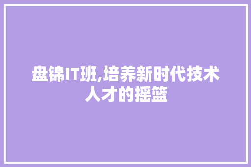 盘锦IT班,培养新时代技术人才的摇篮