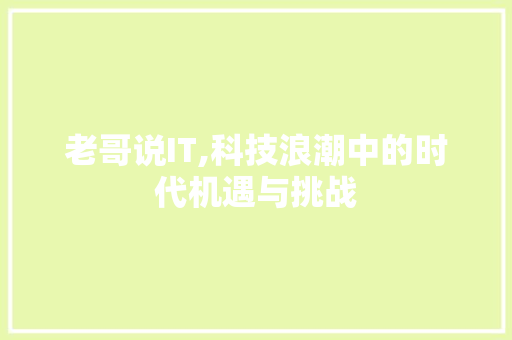 老哥说IT,科技浪潮中的时代机遇与挑战