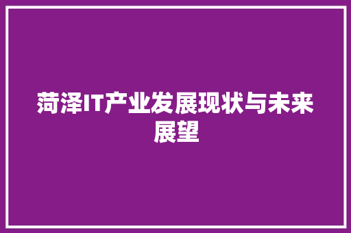 菏泽IT产业发展现状与未来展望