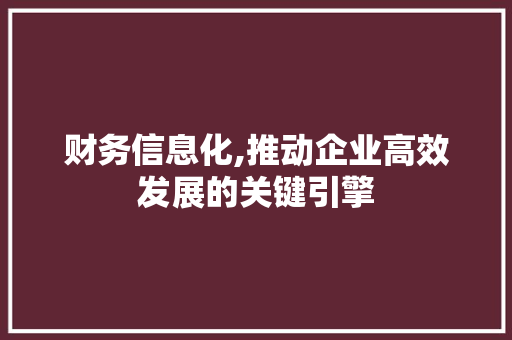 财务信息化,推动企业高效发展的关键引擎