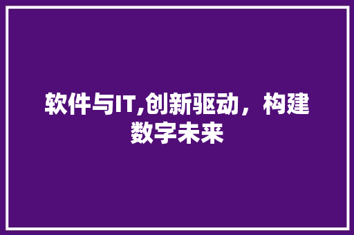 软件与IT,创新驱动，构建数字未来