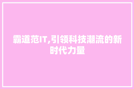 霸道范IT,引领科技潮流的新时代力量