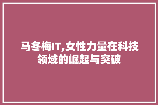 马冬梅IT,女性力量在科技领域的崛起与突破