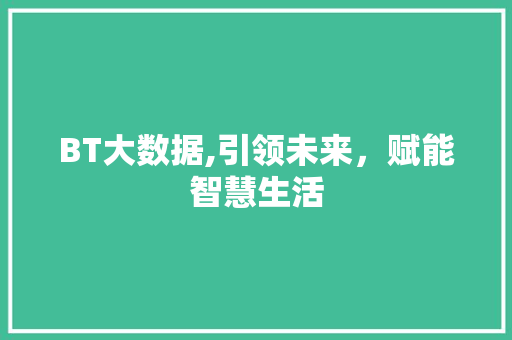 BT大数据,引领未来，赋能智慧生活