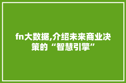 fn大数据,介绍未来商业决策的“智慧引擎”