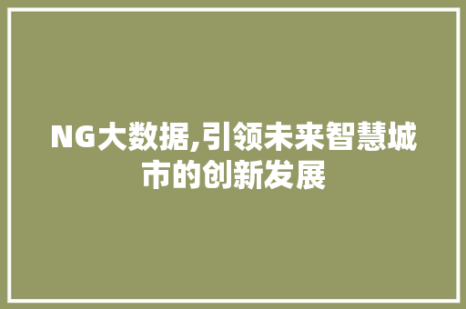 NG大数据,引领未来智慧城市的创新发展