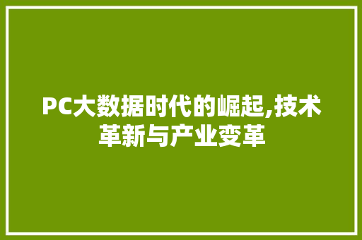 PC大数据时代的崛起,技术革新与产业变革