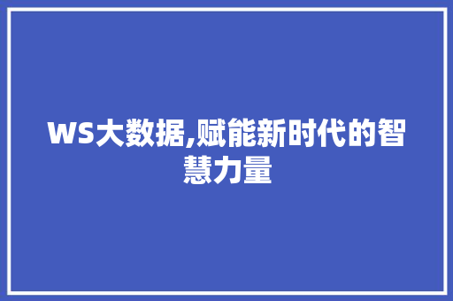 WS大数据,赋能新时代的智慧力量