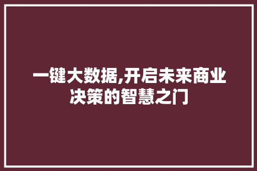 一键大数据,开启未来商业决策的智慧之门