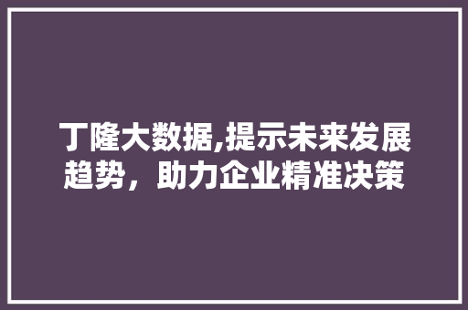 丁隆大数据,提示未来发展趋势，助力企业精准决策