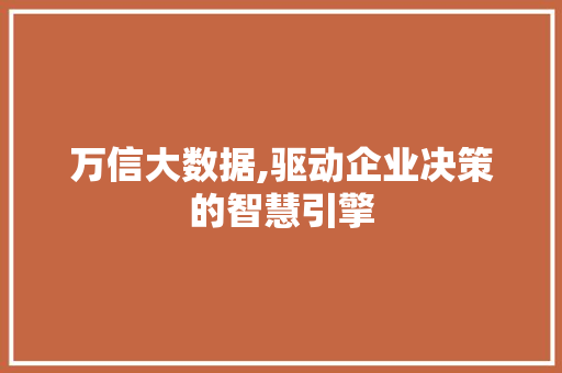 万信大数据,驱动企业决策的智慧引擎