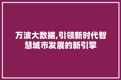 万波大数据,引领新时代智慧城市发展的新引擎