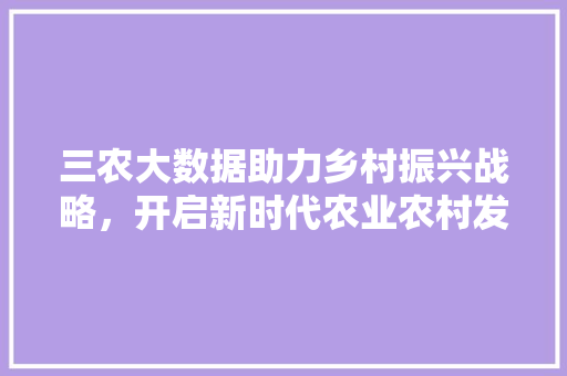 三农大数据助力乡村振兴战略，开启新时代农业农村发展新篇章